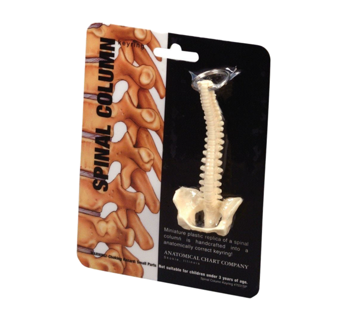 Spine Key Chain